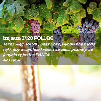 Picture 02 - Izajasza 37:20 POLUBG - Teraz więc, PANIE, nasz Boże, wybaw nas z jego - Bible Verse Picture
