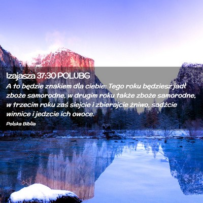 Picture 02 - Izajasza 37:30 POLUBG - A to będzie znakiem dla ciebie: Tego roku - Bible Verse Picture