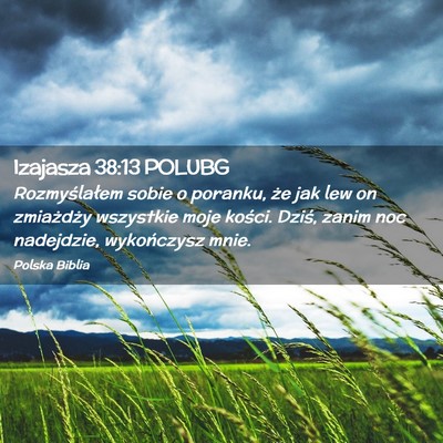 Picture 02 - Izajasza 38:13 POLUBG - Rozmyślałem sobie o poranku, że jak lew on - Bible Verse Picture