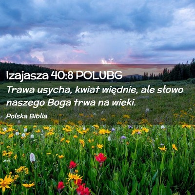 Picture 02 - Izajasza 40:8 POLUBG - Trawa usycha, kwiat więdnie, ale słowo naszego - Bible Verse Picture