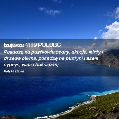 Picture 02 - Izajasza 41:19 POLUBG - Posadzę na pustkowiu cedry, akacje, mirty i - Bible Verse Picture