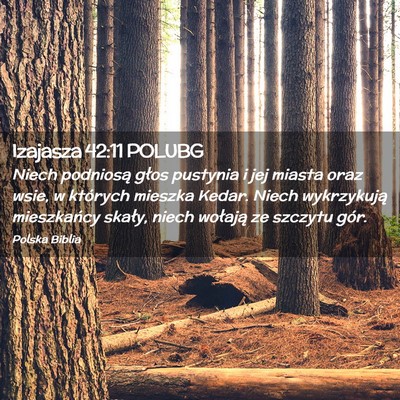 Picture 02 - Izajasza 42:11 POLUBG - Niech podniosą głos pustynia i jej miasta oraz - Bible Verse Picture
