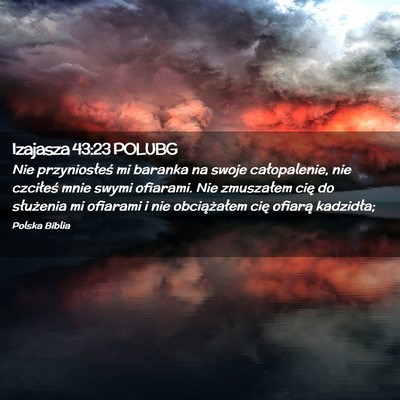 Picture 02 - Izajasza 43:23 POLUBG - Nie przyniosłeś mi baranka na swoje - Bible Verse Picture