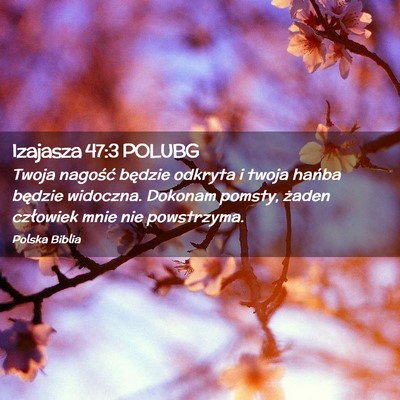 Picture 02 - Izajasza 47:3 POLUBG - Twoja nagość będzie odkryta i twoja hańba - Bible Verse Picture
