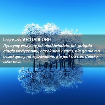 Picture 02 - Izajasza 59:11 POLUBG - Ryczymy wszyscy jak niedźwiedzie, jak gołębie - Bible Verse Picture