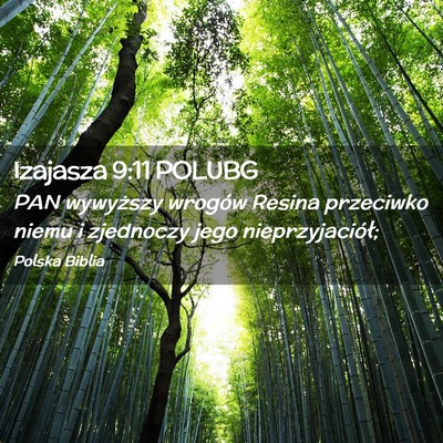 Picture 02 - Izajasza 9:11 POLUBG - PAN wywyższy wrogów Resina przeciwko niemu i - Bible Verse Picture