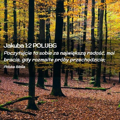 Picture 02 - Jakuba 1:2 POLUBG - Poczytujcie to sobie za największą radość, - Bible Verse Picture