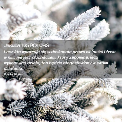 Picture 02 - Jakuba 1:25 POLUBG - Lecz kto wpatruje się w doskonałe prawo - Bible Verse Picture