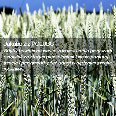 Picture 02 - Jakuba 2:2 POLUBG - Gdyby bowiem na wasze zgromadzenie przyszedł - Bible Verse Picture