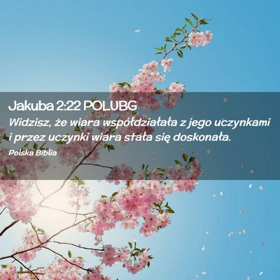 Picture 02 - Jakuba 2:22 POLUBG - Widzisz, że wiara współdziałała z jego - Bible Verse Picture