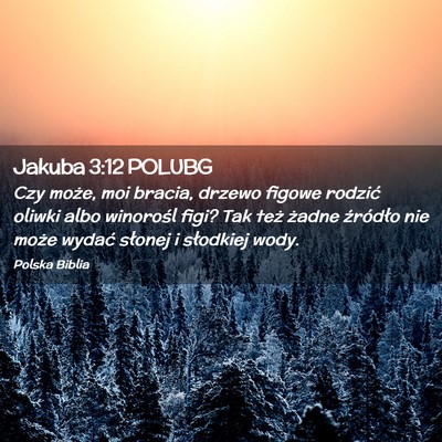 Picture 02 - Jakuba 3:12 POLUBG - Czy może, moi bracia, drzewo figowe rodzić - Bible Verse Picture
