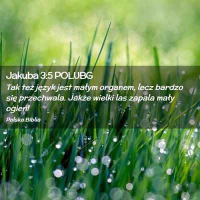 Picture 02 - Jakuba 3:5 POLUBG - Tak też język jest małym organem, lecz bardzo - Bible Verse Picture