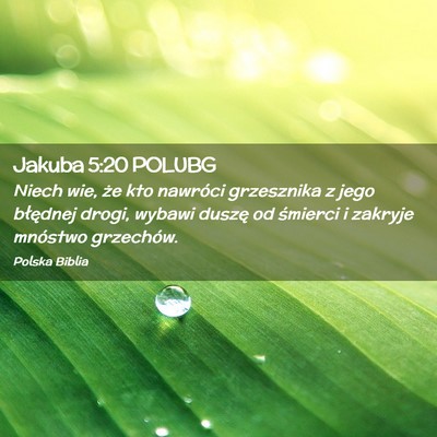 Picture 02 - Jakuba 5:20 POLUBG - Niech wie, że kto nawróci grzesznika z jego - Bible Verse Picture