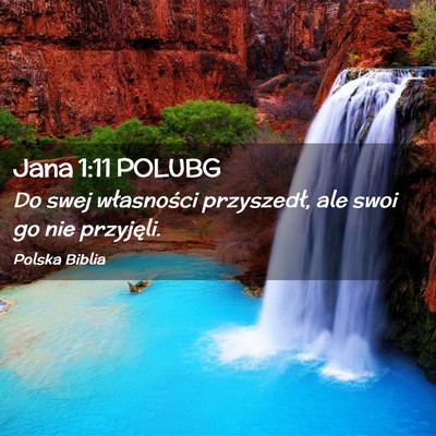 Picture 02 - Jana 1:11 POLUBG - Do swej własności przyszedł, ale swoi go nie - Bible Verse Picture