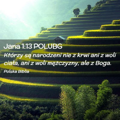 Picture 02 - Jana 1:13 POLUBG - Którzy są narodzeni nie z krwi ani z woli - Bible Verse Picture
