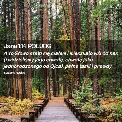 Picture 02 - Jana 1:14 POLUBG - A to Słowo stało się ciałem i mieszkało - Bible Verse Picture
