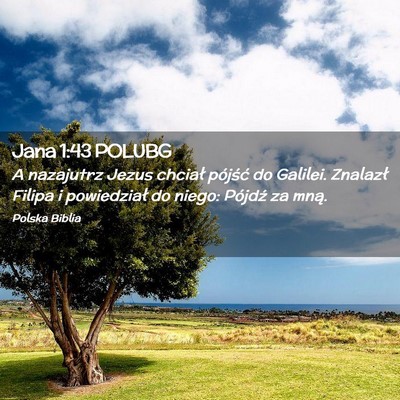 Picture 02 - Jana 1:43 POLUBG - A nazajutrz Jezus chciał pójść do Galilei. - Bible Verse Picture