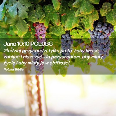Picture 02 - Jana 10:10 POLUBG - Złodziej przychodzi tylko po to, żeby kraść, - Bible Verse Picture