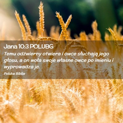 Picture 02 - Jana 10:3 POLUBG - Temu odźwierny otwiera i owce słuchają jego - Bible Verse Picture