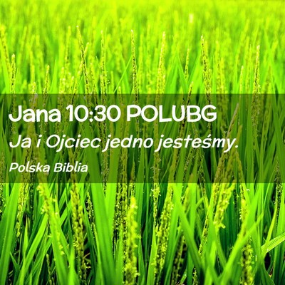 Picture 02 - Jana 10:30 POLUBG - Ja i Ojciec jedno - Bible Verse Picture