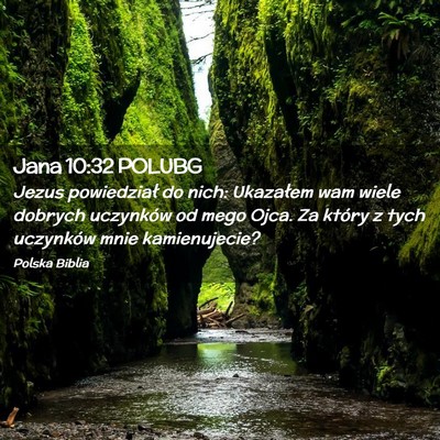 Picture 02 - Jana 10:32 POLUBG - Jezus powiedział do nich: Ukazałem wam wiele - Bible Verse Picture