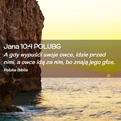 Picture 02 - Jana 10:4 POLUBG - A gdy wypuści swoje owce, idzie przed nimi, a - Bible Verse Picture