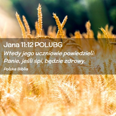 Picture 02 - Jana 11:12 POLUBG - Wtedy jego uczniowie powiedzieli: Panie, jeśli - Bible Verse Picture