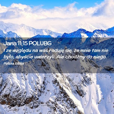 Picture 02 - Jana 11:15 POLUBG - I ze względu na was raduję się, że mnie tam - Bible Verse Picture