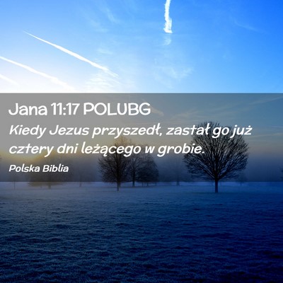 Picture 02 - Jana 11:17 POLUBG - Kiedy Jezus przyszedł, zastał go już cztery - Bible Verse Picture