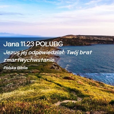 Picture 02 - Jana 11:23 POLUBG - Jezus jej odpowiedział: Twój brat - Bible Verse Picture