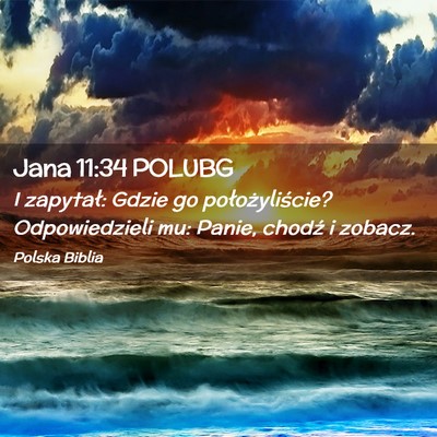 Picture 02 - Jana 11:34 POLUBG - I zapytał: Gdzie go położyliście? - Bible Verse Picture