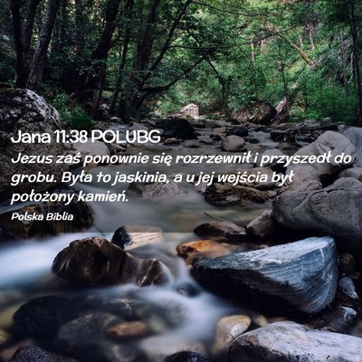 Picture 02 - Jana 11:38 POLUBG - Jezus zaś ponownie się rozrzewnił i przyszedł - Bible Verse Picture