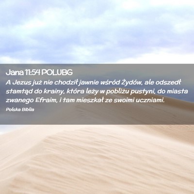 Picture 02 - Jana 11:54 POLUBG - A Jezus już nie chodził jawnie wśród Żydów, - Bible Verse Picture