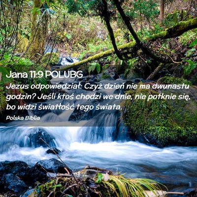 Picture 02 - Jana 11:9 POLUBG - Jezus odpowiedział: Czyż dzień nie ma dwunastu - Bible Verse Picture