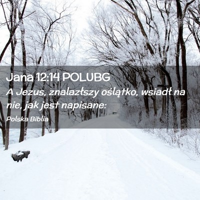 Picture 02 - Jana 12:14 POLUBG - A Jezus, znalazłszy oślątko, wsiadł na nie, - Bible Verse Picture