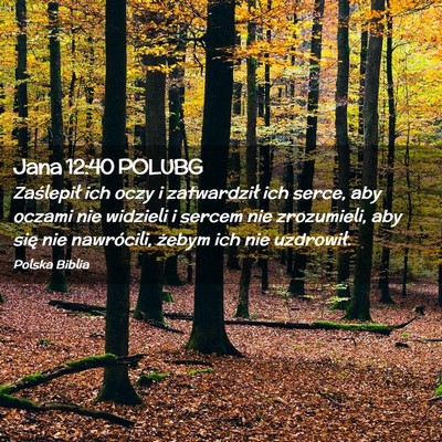 Picture 02 - Jana 12:40 POLUBG - Zaślepił ich oczy i zatwardził ich serce, aby - Bible Verse Picture