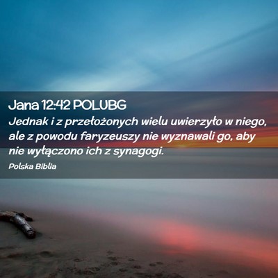 Picture 02 - Jana 12:42 POLUBG - Jednak i z przełożonych wielu uwierzyło w - Bible Verse Picture