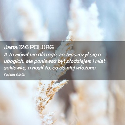 Picture 02 - Jana 12:6 POLUBG - A to mówił nie dlatego, że troszczył się o - Bible Verse Picture