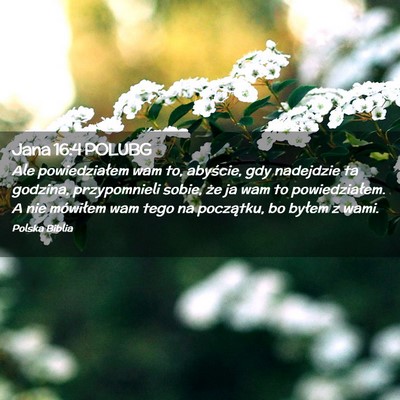 Picture 02 - Jana 16:4 POLUBG - Ale powiedziałem wam to, abyście, gdy nadejdzie - Bible Verse Picture