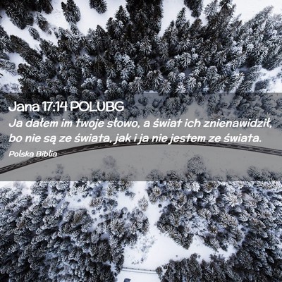 Picture 02 - Jana 17:14 POLUBG - Ja dałem im twoje słowo, a świat ich - Bible Verse Picture