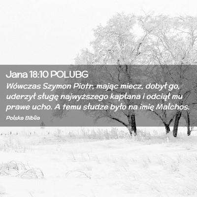 Picture 02 - Jana 18:10 POLUBG - Wówczas Szymon Piotr, mając miecz, dobył go, - Bible Verse Picture