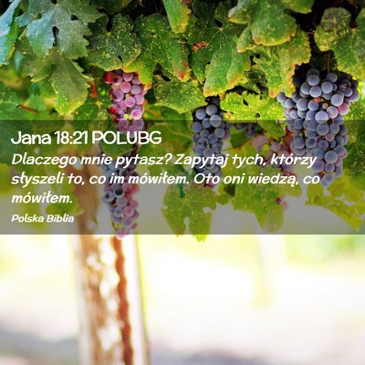 Picture 02 - Jana 18:21 POLUBG - Dlaczego mnie pytasz? Zapytaj tych, którzy - Bible Verse Picture