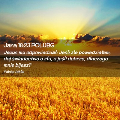 Picture 02 - Jana 18:23 POLUBG - Jezus mu odpowiedział: Jeśli źle - Bible Verse Picture