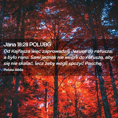 Picture 02 - Jana 18:28 POLUBG - Od Kajfasza więc zaprowadzili Jezusa do ratusza; - Bible Verse Picture