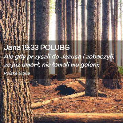 Picture 02 - Jana 19:33 POLUBG - Ale gdy przyszli do Jezusa i zobaczyli, że już - Bible Verse Picture