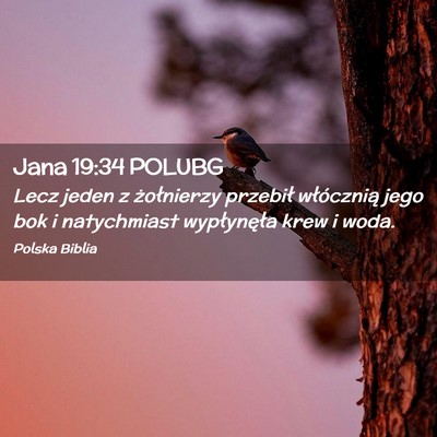 Picture 02 - Jana 19:34 POLUBG - Lecz jeden z żołnierzy przebił włócznią - Bible Verse Picture