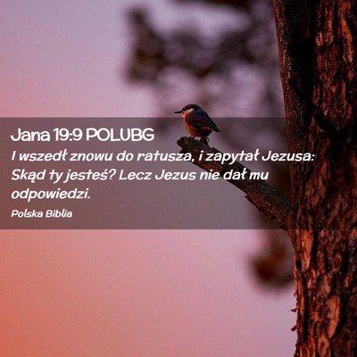 Picture 02 - Jana 19:9 POLUBG - I wszedł znowu do ratusza, i zapytał Jezusa: - Bible Verse Picture