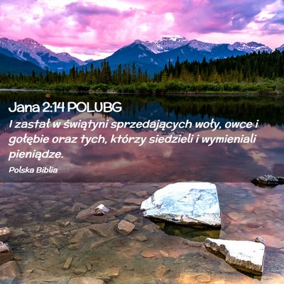Picture 02 - Jana 2:14 POLUBG - I zastał w świątyni sprzedających woły, owce - Bible Verse Picture