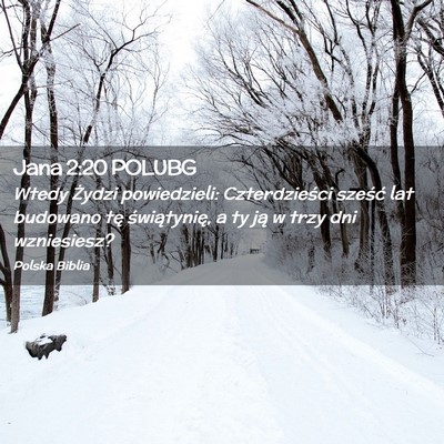Picture 02 - Jana 2:20 POLUBG - Wtedy Żydzi powiedzieli: Czterdzieści sześć - Bible Verse Picture