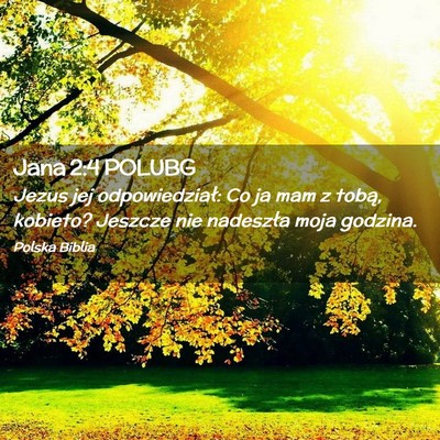 Picture 02 - Jana 2:4 POLUBG - Jezus jej odpowiedział: Co ja mam z tobą, - Bible Verse Picture